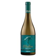 Верментино Сталиън Ейнджъл Естейт / Vermentino Stallion Angels Estate