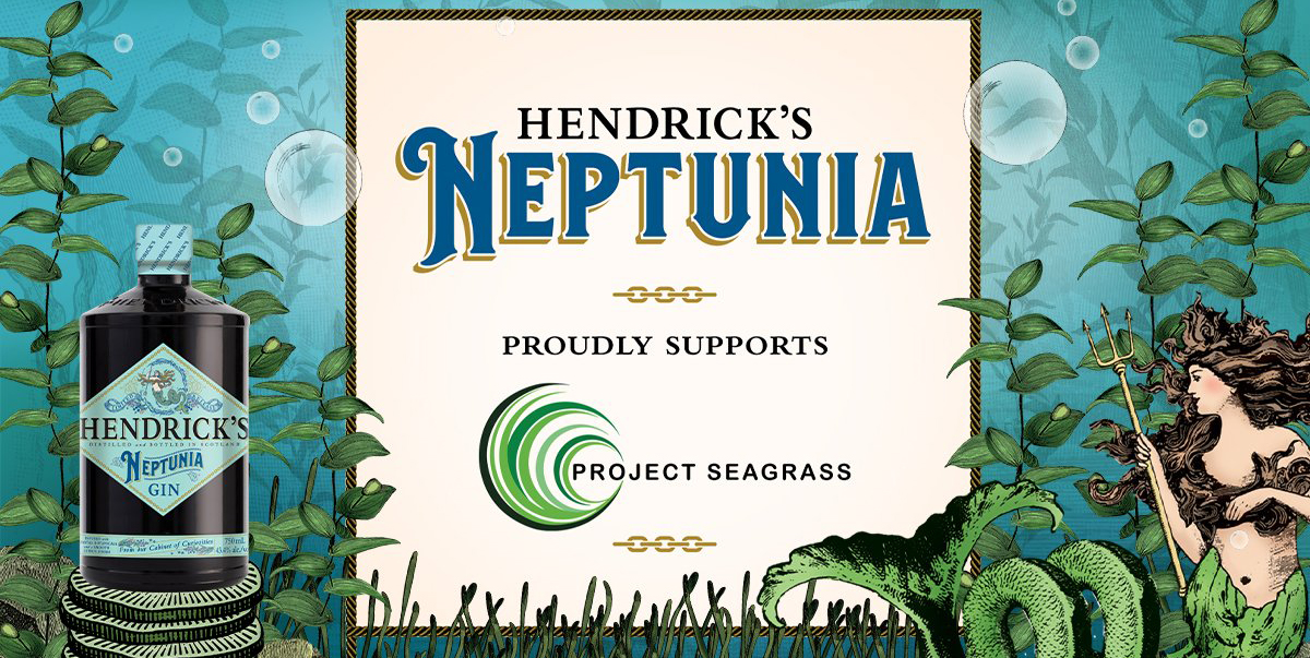 Hendrick's Neptunia —  sid-shop.com